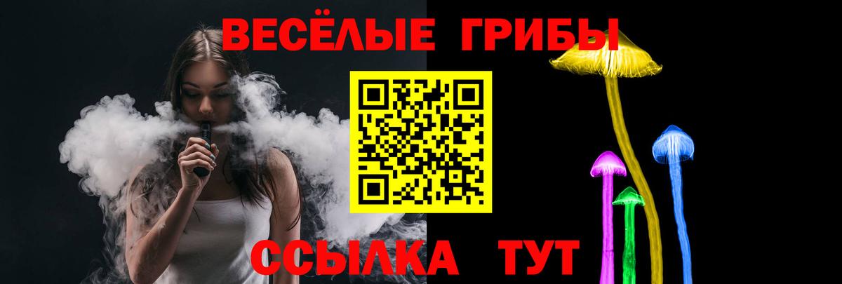 купить наркотик  Вход с VPN  Кыштым  Галлюциногенные грибы Cubensis 